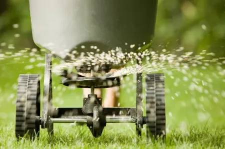 Seeding