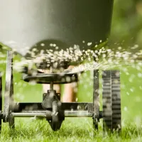 seeding