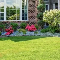 Lawn