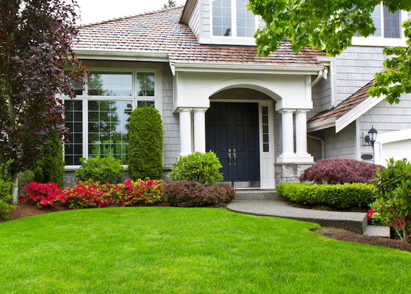 beautiful front yard with trees and shrubs