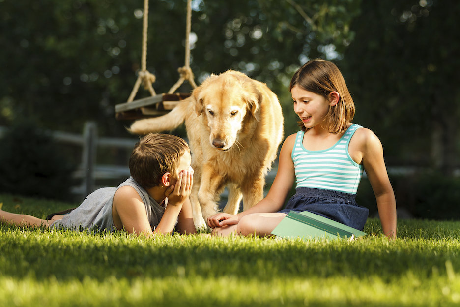 kids playing with their dog outside
