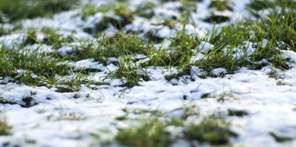 How to Prep Your Lawn for Winter | Southern Spray