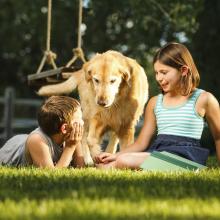 kids playing with their dog outside